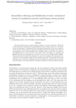 Intracellular Softening and Fluidification Reveals a Mechanical Switch Of