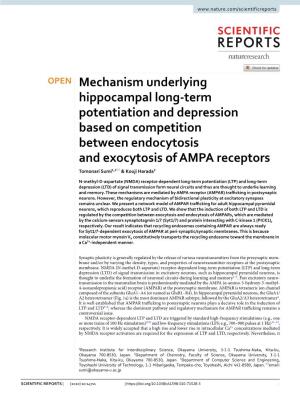 Mechanism Underlying Hippocampal Long-Term Potentiation And