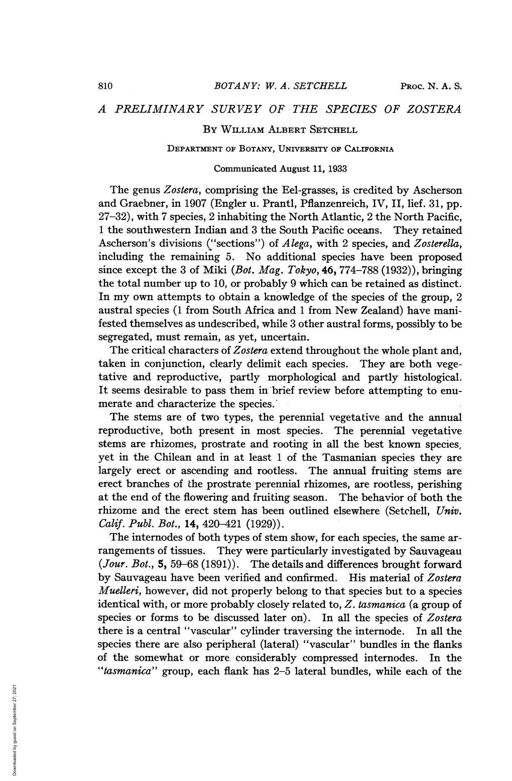 A PRELIMINARY SURVEY of the SPECIES of ZOSTERA the Genus