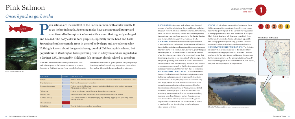 Pink Salmon Chances for Survival: Very Poor 1 Oncorhynchus Gorbuscha