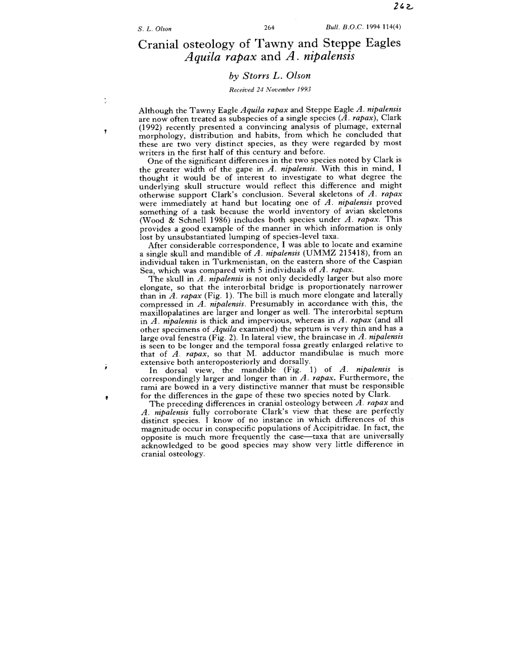 Cranial Osteology of Tawny and Steppe Eagles Aquila Rapax and A