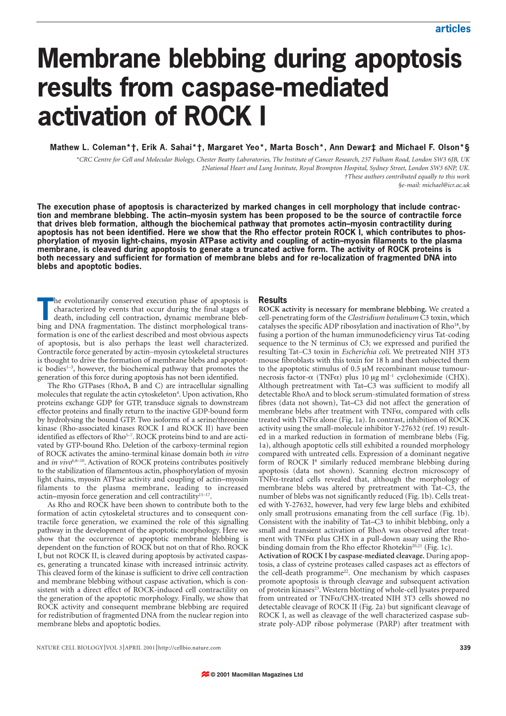 Membrane Blebbing During Apoptosis Results from Caspase-Mediated Activation of ROCK I