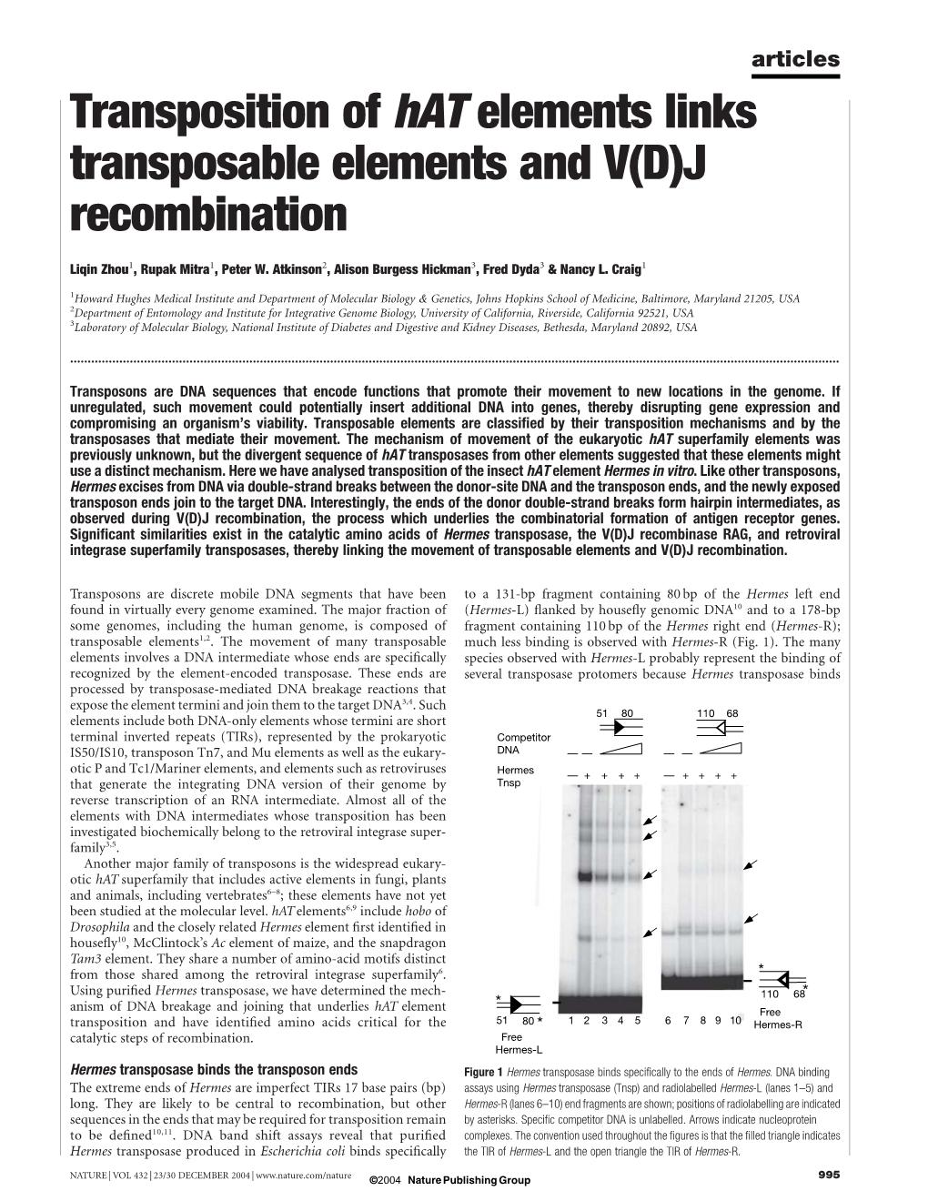 Transposition of Hat Elements Links Transposable Elements and V(D)J Recombination