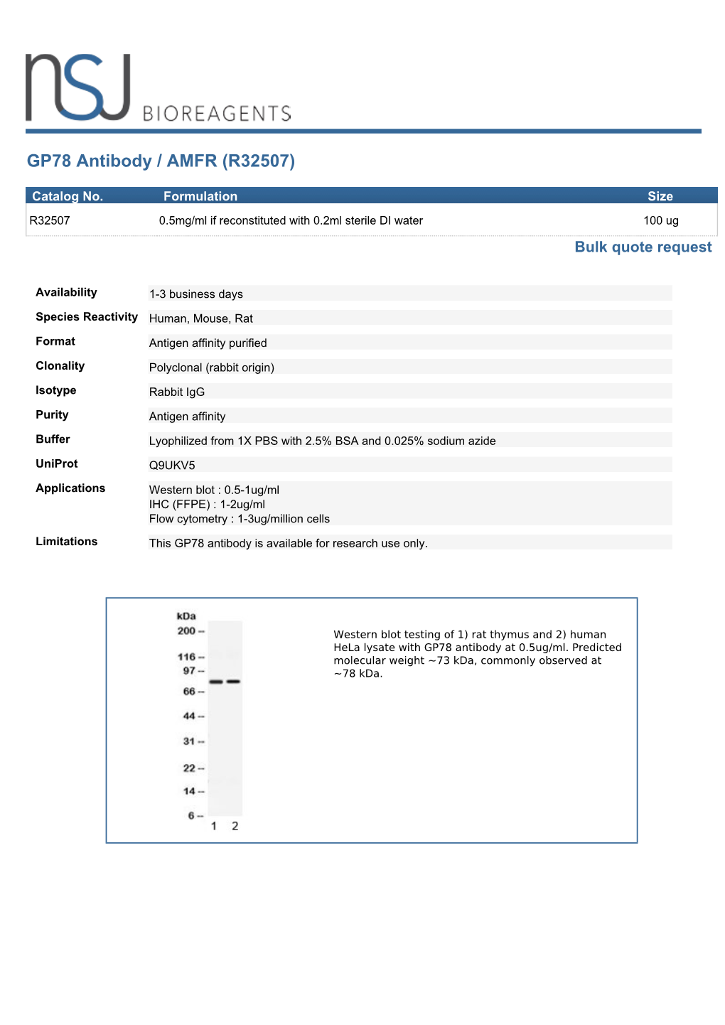 GP78 Antibody / AMFR (R32507)