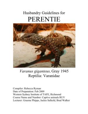 Perentie (Varanus Giganteus)