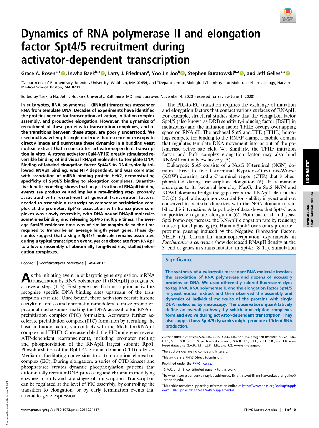 Dynamics of RNA Polymerase II and Elongation Factor Spt4/5 Recruitment During Activator-Dependent Transcription