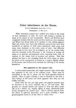 Color Inheritance in the Horse