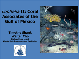 Lophelia II: Coral Associates of the Gulf of Mexico