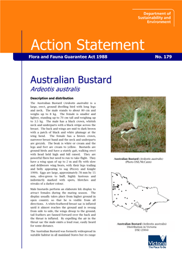 Australian Bustard (Ardeotis Australis) Is a Large, Erect, Ground Dwelling Bird with Long Legs and Neck