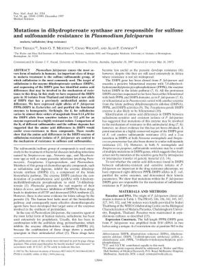 Mutations in Dihydropteroate Synthase Are Responsible for Sulfone and Sulfonamide Resistance in Plasmodium Falciparum (Malaria͞sulfadoxine͞drug Resistance)