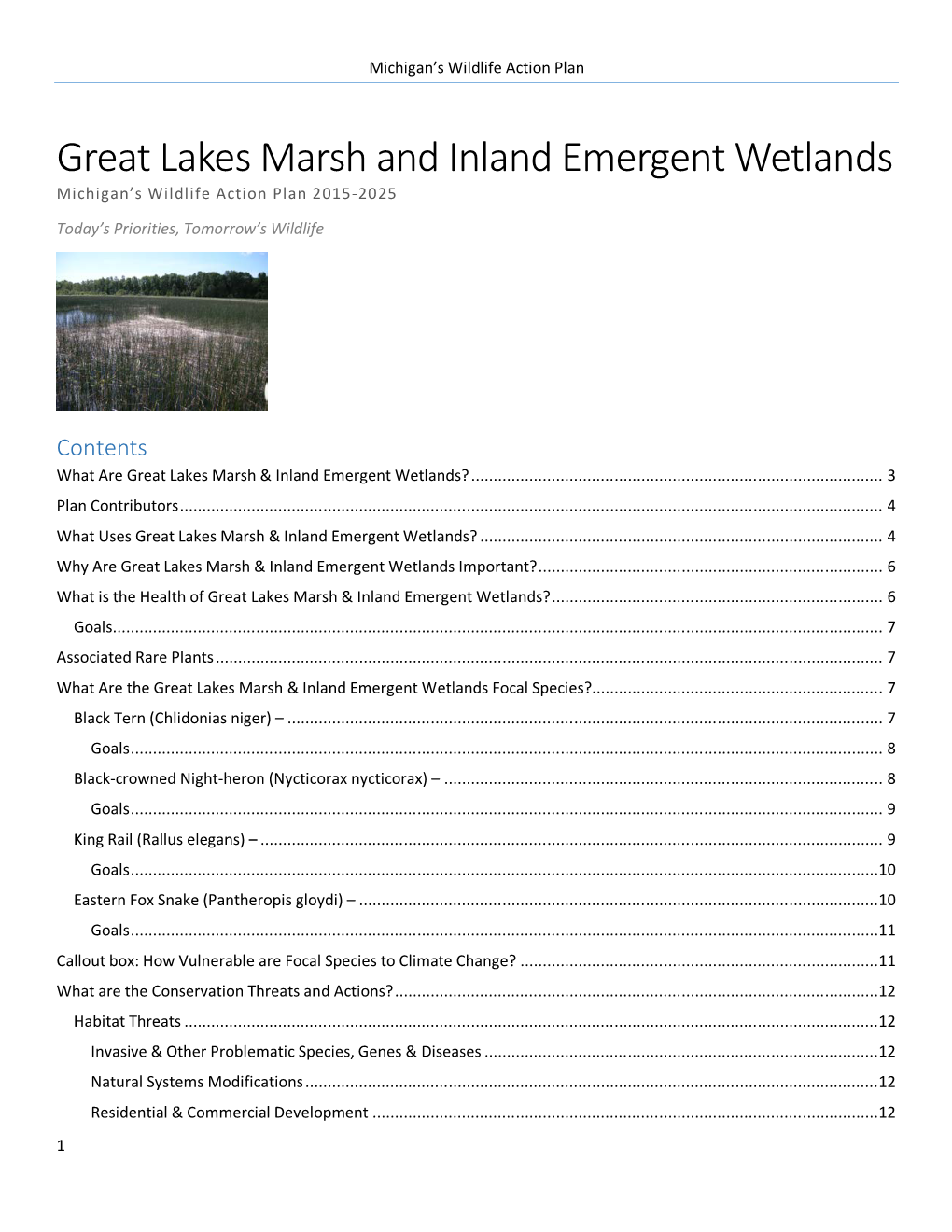Wildlife Action Plan: Great Lakes Marsh and Emergent Wetlands