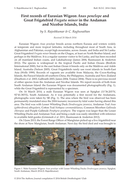 First Records of Eurasian Wigeon Anas Penelope and Great Frigatebird Fregata Minor in the Andaman and Nicobar Islands, India