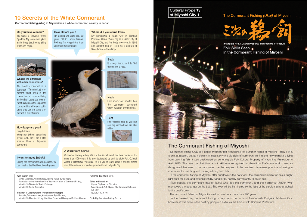 10 Secrets of the White Cormorant the Cormorant Fishing (Ukai) of Miyoshi Cormorant ﬁshing (Ukai) in Miyoshi Has a White Cormorant, a Rarity in Japan