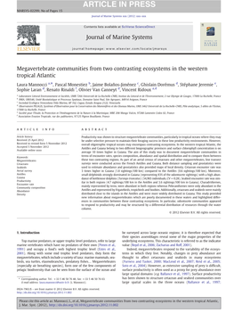 Megavertebrate Communities from Two Contrasting Ecosystems in the Western Tropical Atlantic