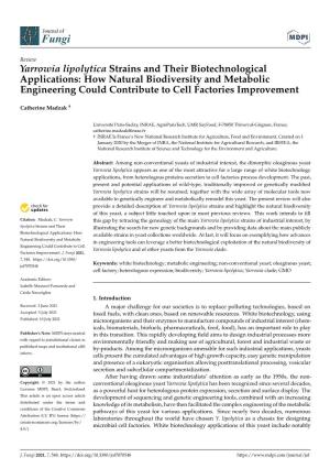 Yarrowia Lipolytica Strains and Their Biotechnological Applications: How Natural Biodiversity and Metabolic Engineering Could Contribute to Cell Factories Improvement