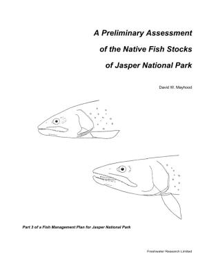 A Preliminary Assessment of the Native Fish Stocks of Jasper National Park