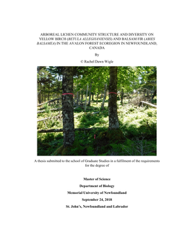 Arboreal Lichen Community Structure and Diversity On