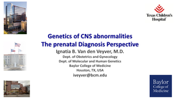 Genetics of CNS Abnormalities the Prenatal Diagnosis Perspective Ignatia B