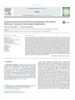 Comparative Leaf Anatomy and Micromorphology of the Chilean