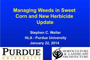 Managing Weeds in Sweet Corn and New Herbicide Update