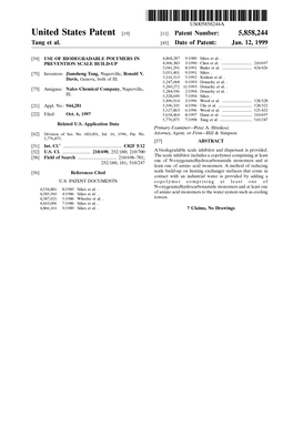 United States Patent (19) 11 Patent Number: 5,858,244 Tang Et Al