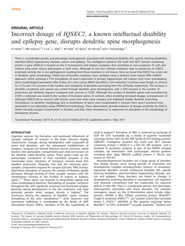 Incorrect Dosage of IQSEC2, a Known Intellectual Disability and Epilepsy Gene, Disrupts Dendritic Spine Morphogenesis