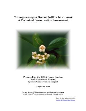 Crataegus Saligna Greene (Willow Hawthorn): a Technical Conservation Assessment