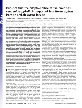 Evidence That the Adaptive Allele of the Brain Size Gene Microcephalin Introgressed Into Homo Sapiens from an Archaic Homo Lineage