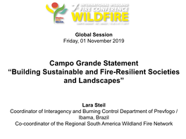 Campo Grande Statement “Building Sustainable and Fire-Resilient Societies and Landscapes”