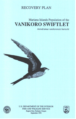 VANIKORO SWIFTLET Aerodramus Vanikorensisbartschi