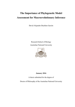 The Importance of Phylogenetic Model Assessment for Macroevolutionary Inference