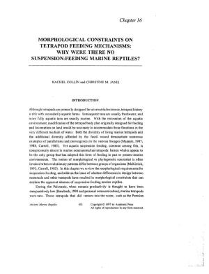 Chapter 16 MORPHOLOGICAL CONSTRAINTS on TETRAPOD