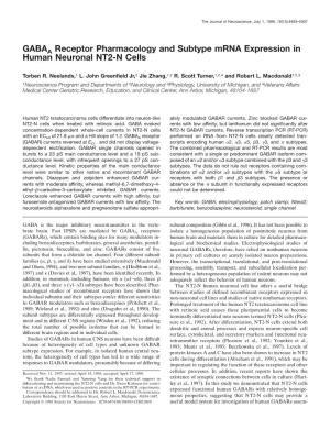 GABAA Receptor Pharmacology and Subtype Mrna Expression in Human Neuronal NT2-N Cells