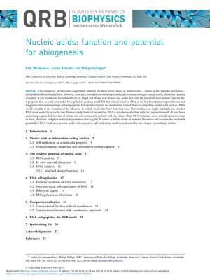 Nucleic Acids: Function and Potential for Abiogenesis