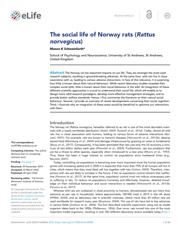 The Social Life of Norway Rats (Rattus Norvegicus) Manon K Schweinfurth*