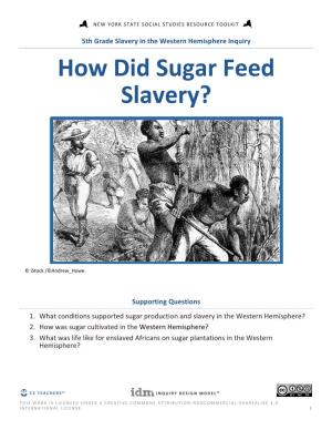 How Did Sugar Feed Slavery?