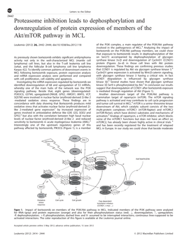 Proteasome Inhibition Leads to Dephosphorylation and Downregulation of Protein Expression of Members of the Akt&Sol;Mtor