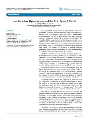 New Persistent Opioid Abuse and the Brain Reward Circuit