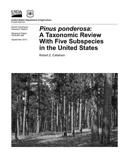 Pinus Ponderosa: Research Paper PSW-RP-264 a Taxonomic Review September 2013 with Five Subspecies in the United States Robert Z