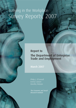 Bullying in the Workplace: Survey Reports, 2007