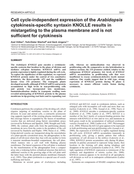 Regulation of KNOLLE Syntaxin