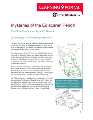 Mysteries of the Ediacaran Period