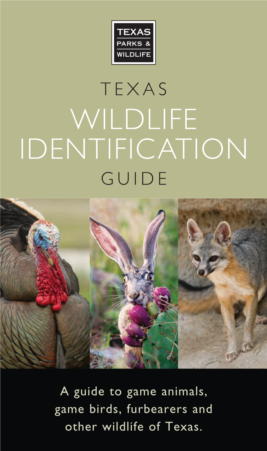 Texas Wildlife Identification Guide