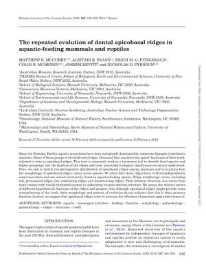 The Repeated Evolution of Dental Apicobasal Ridges in Aquatic-Feeding Mammals and Reptiles