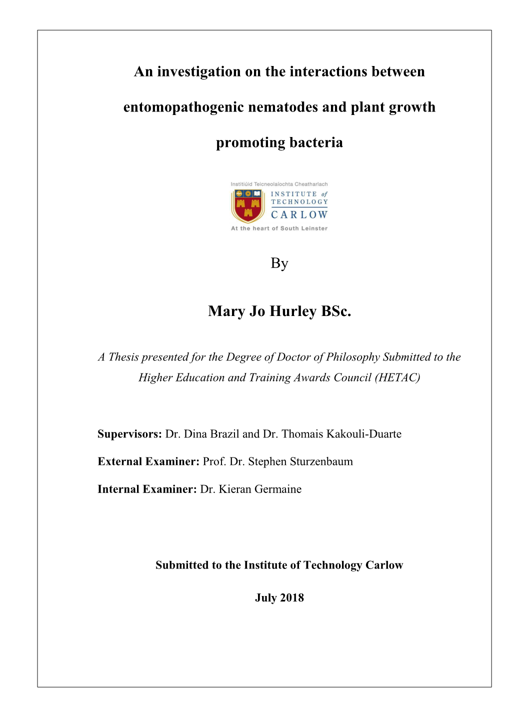 Mary Jo Hurley Phd Thesis 2018.Pdf (3.880Mb)