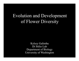 Evolution and Development of Flower Diversity