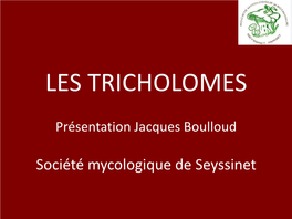 Tricholoma Sulfureum (T
