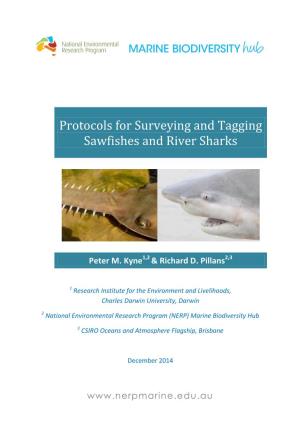 Protocols for Surveying and Tagging Sawfishes and River Sharks