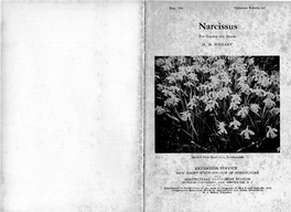 Narcissus for Garden and Home