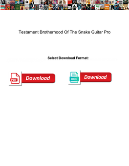 Testament Brotherhood of the Snake Guitar Pro